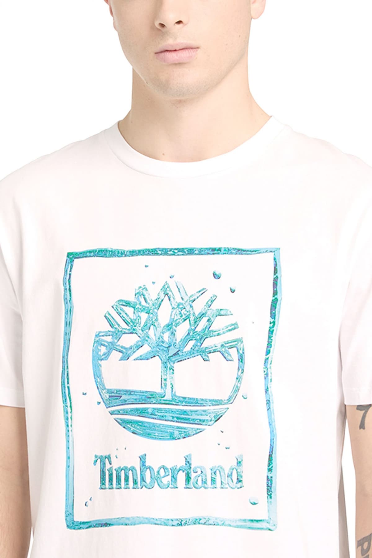 Men's T-Shirts Timberland White