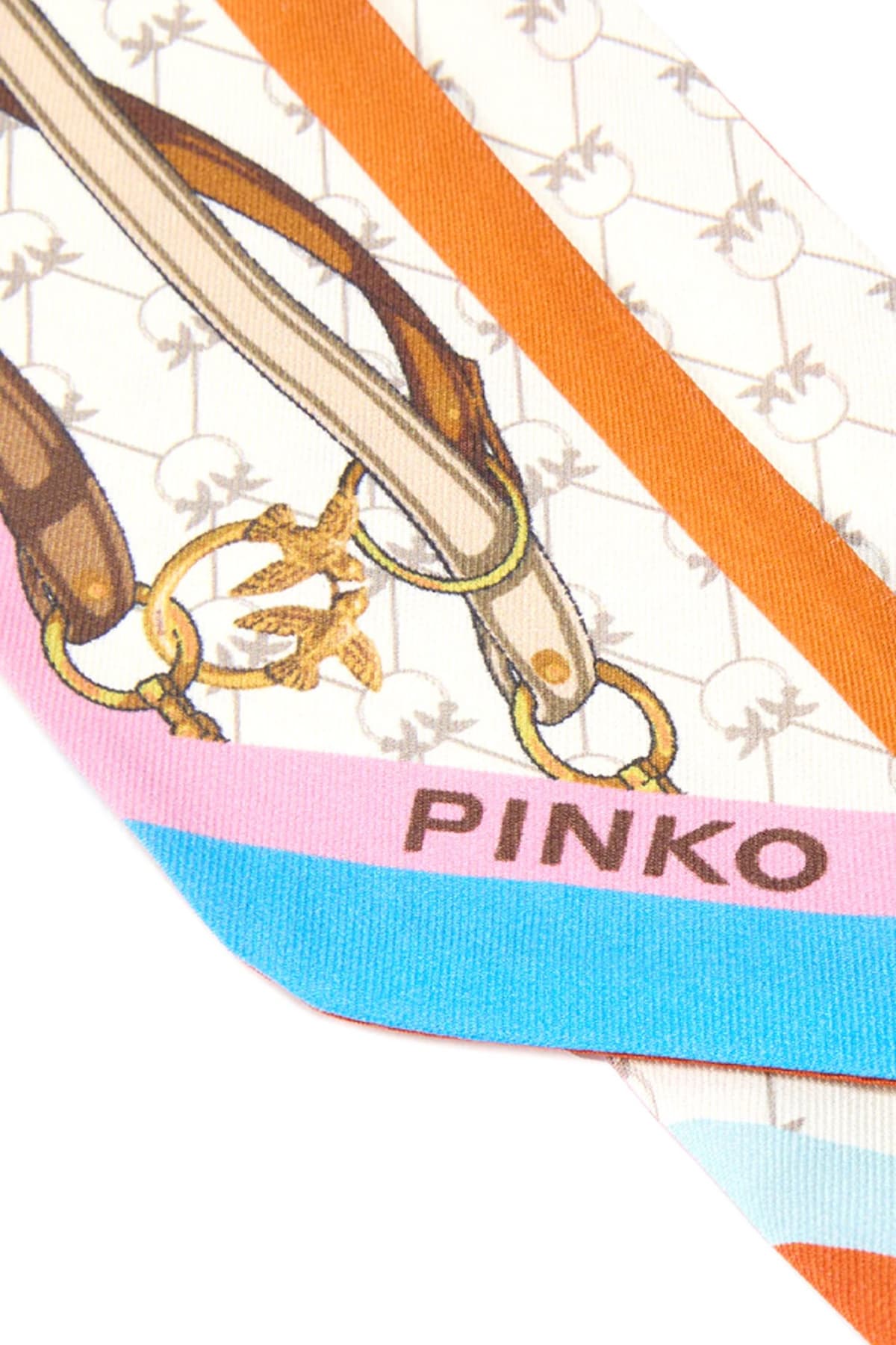 Women's Scarves Pinko Multicolor