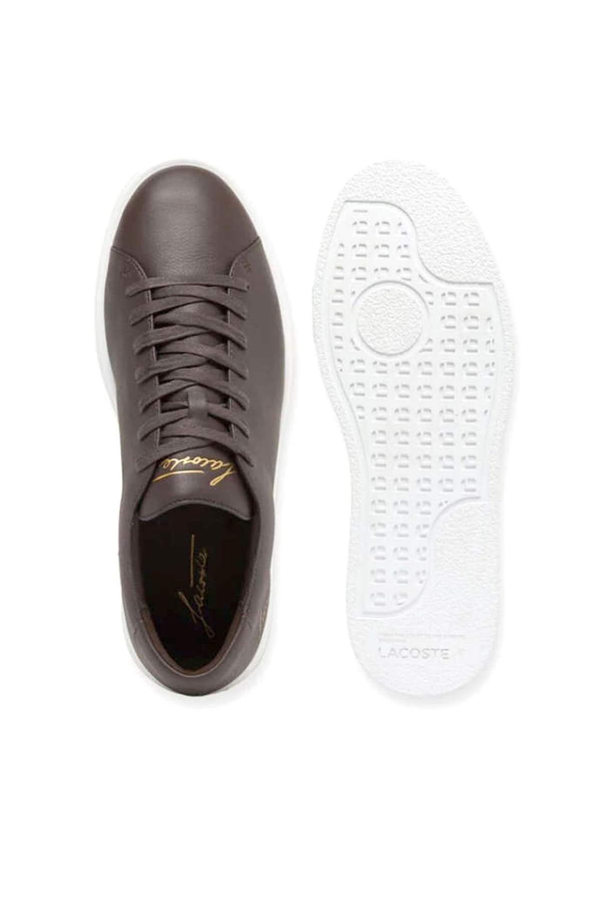 Men's Sneakers Lacoste Brown
