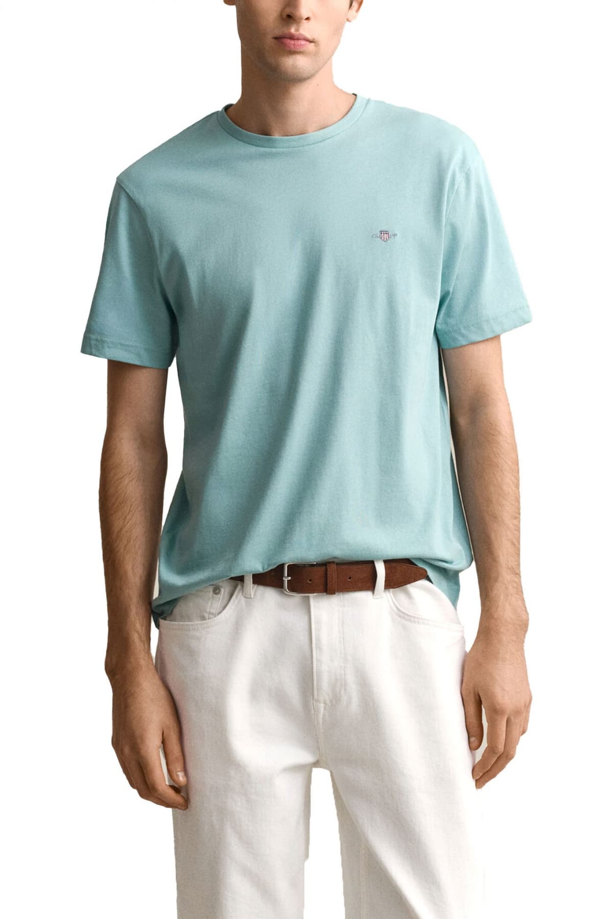 Men's T-Shirts Gant Blue