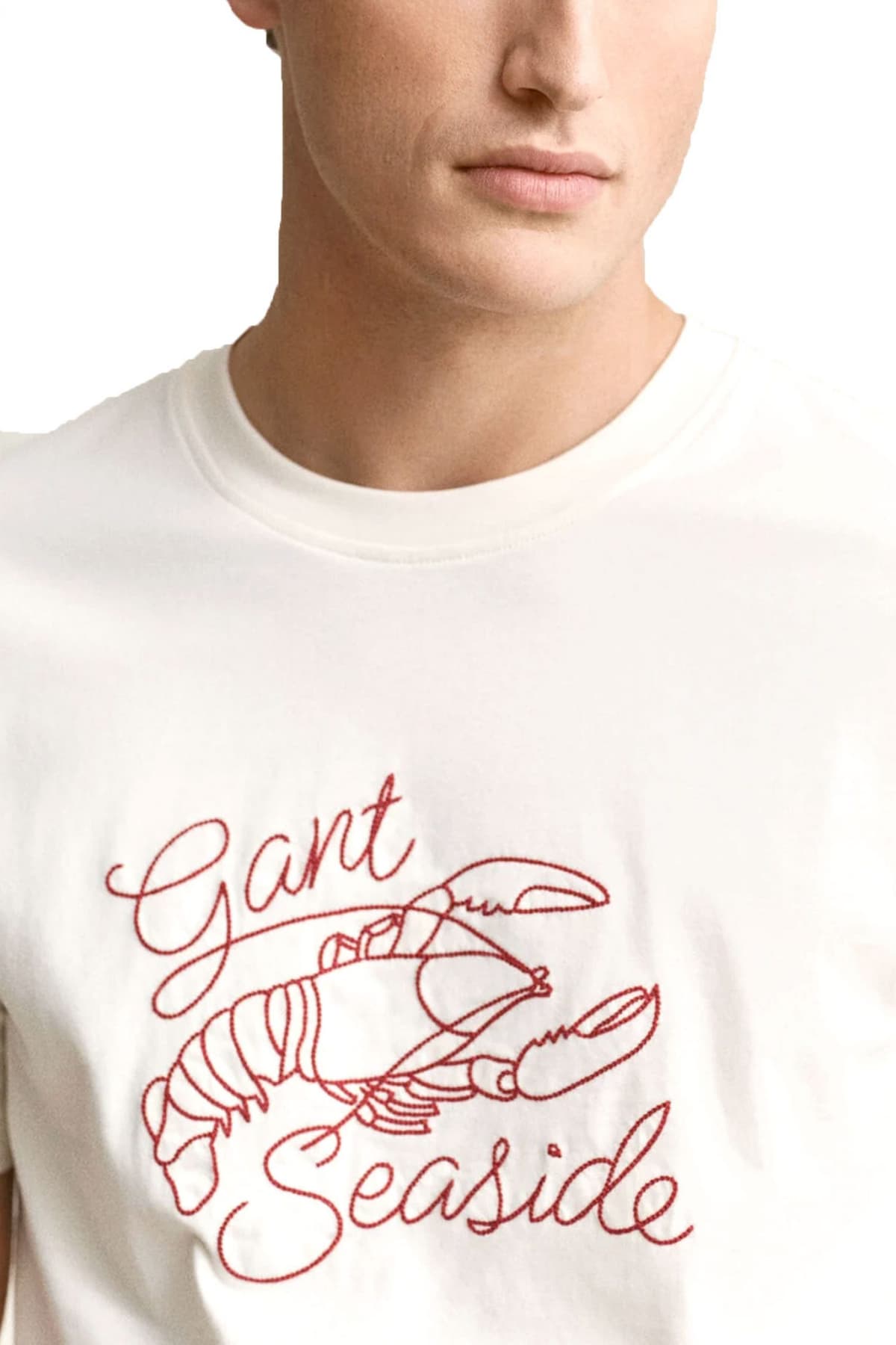 Men's T-Shirts Gant Ecru