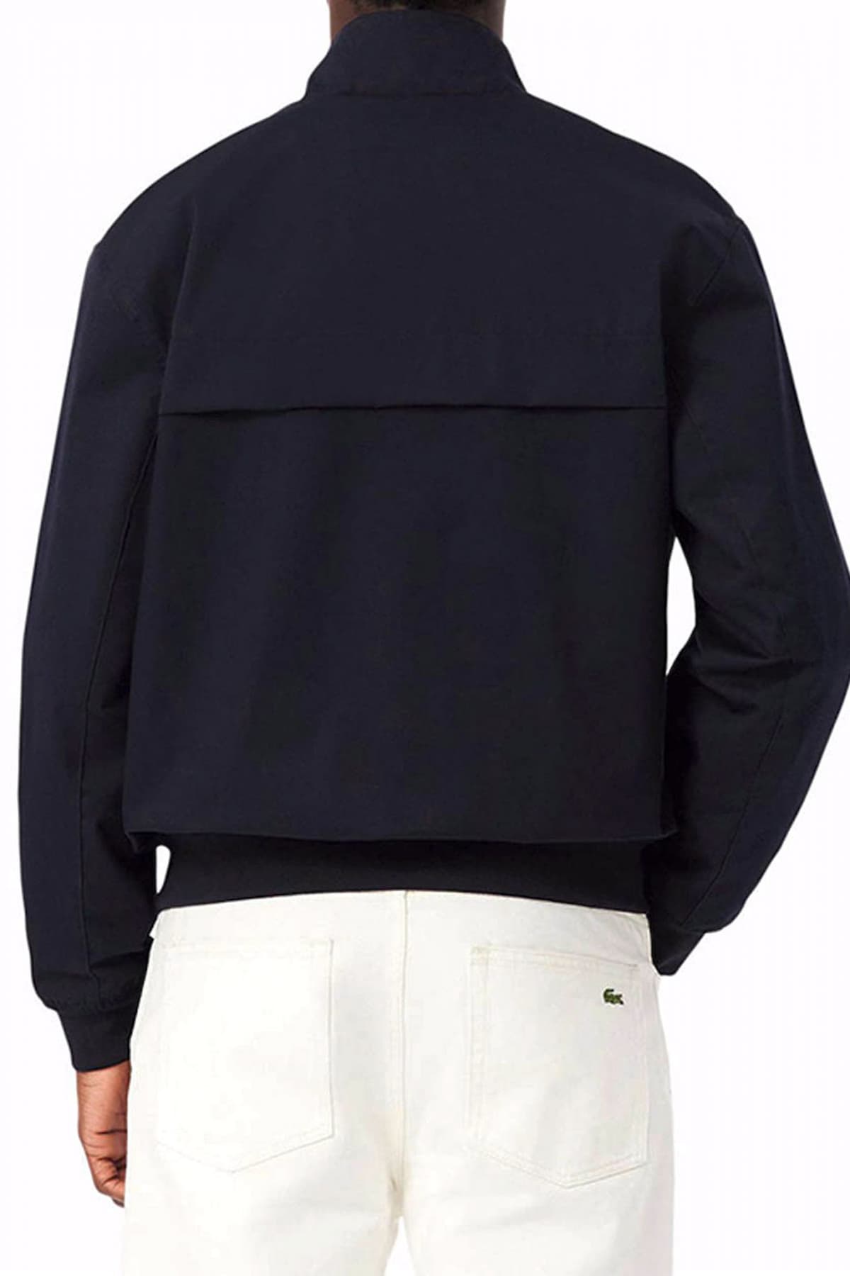 Men's Jackets & Coats Lacoste Blue