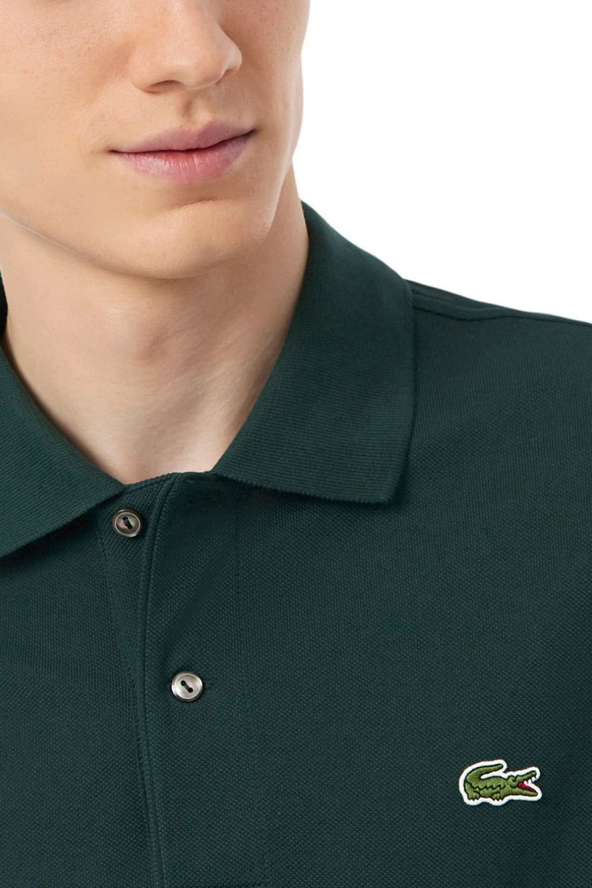 Men's Polo Shirts Lacoste Green