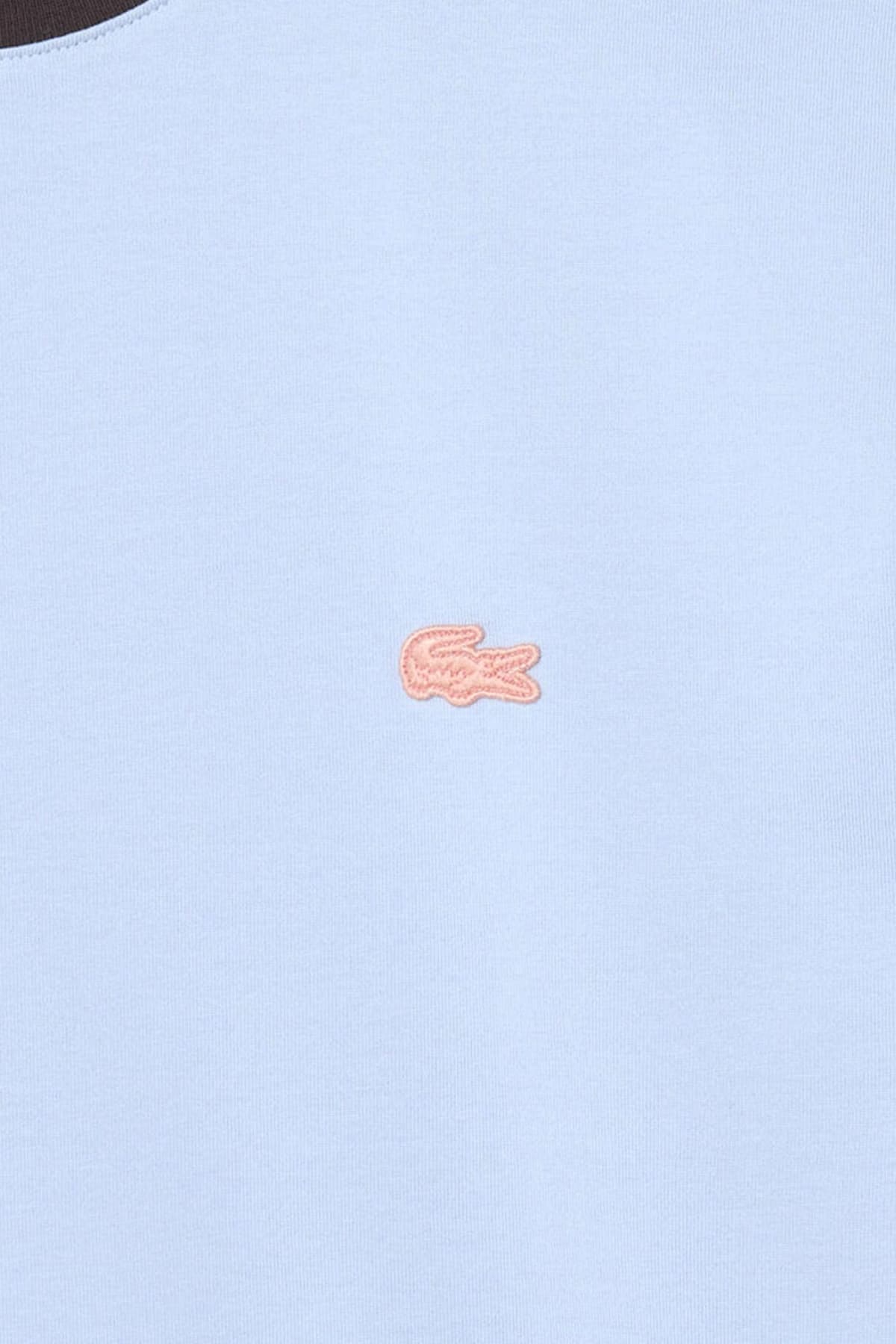 Men's T-Shirts Lacoste Brown