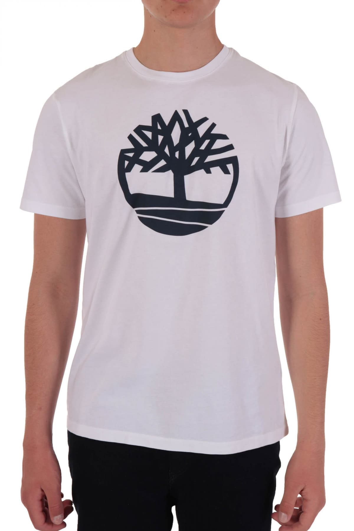 Men's T-Shirts Timberland Beige