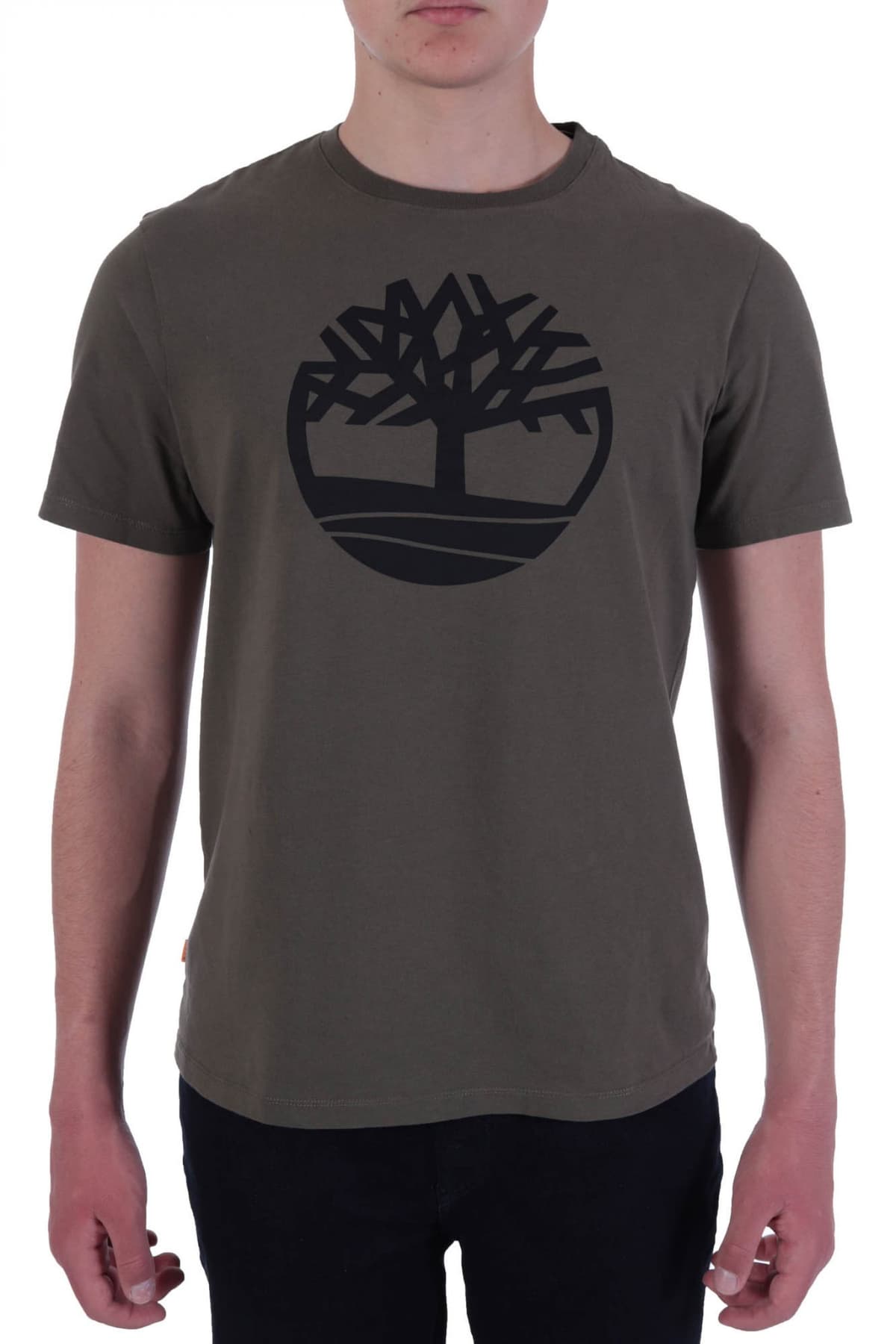 TIMBERLAND T-SHIRT BRAND TREE REGULAR FIT ΧΑΚΙ