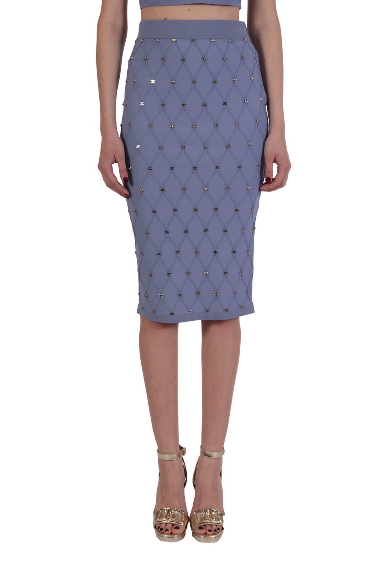 Women's Skirts Elisabetta Franchi Purple