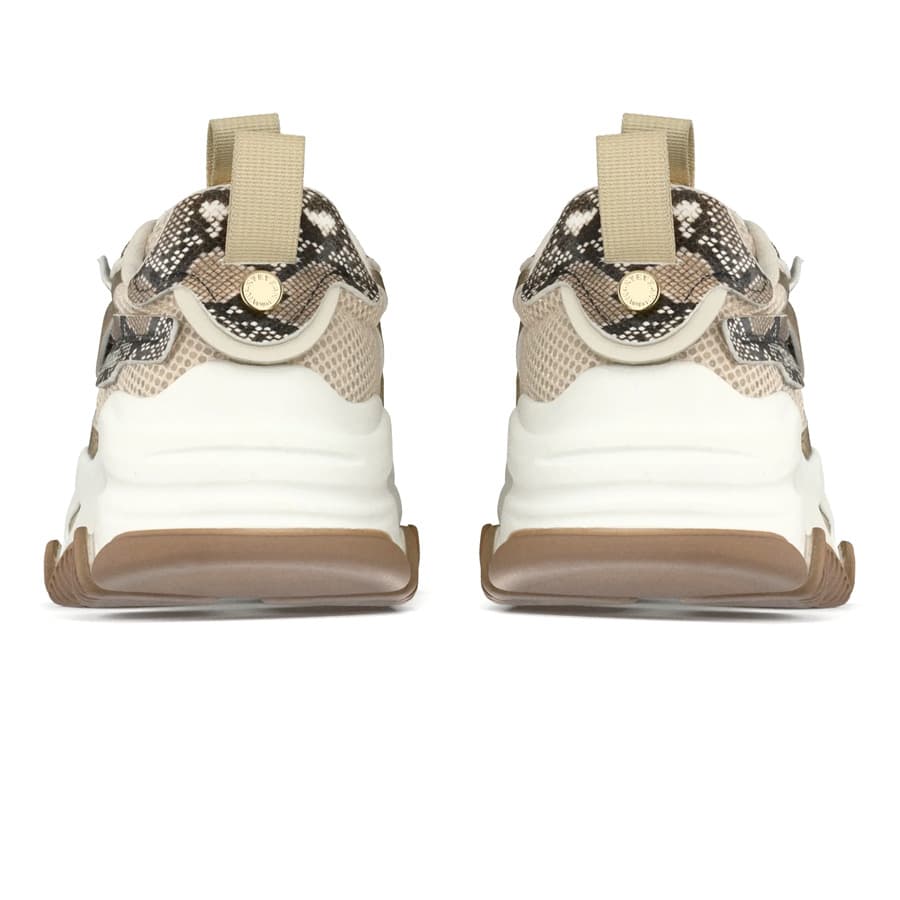 Women's Sneakers Steve Madden Multicolor