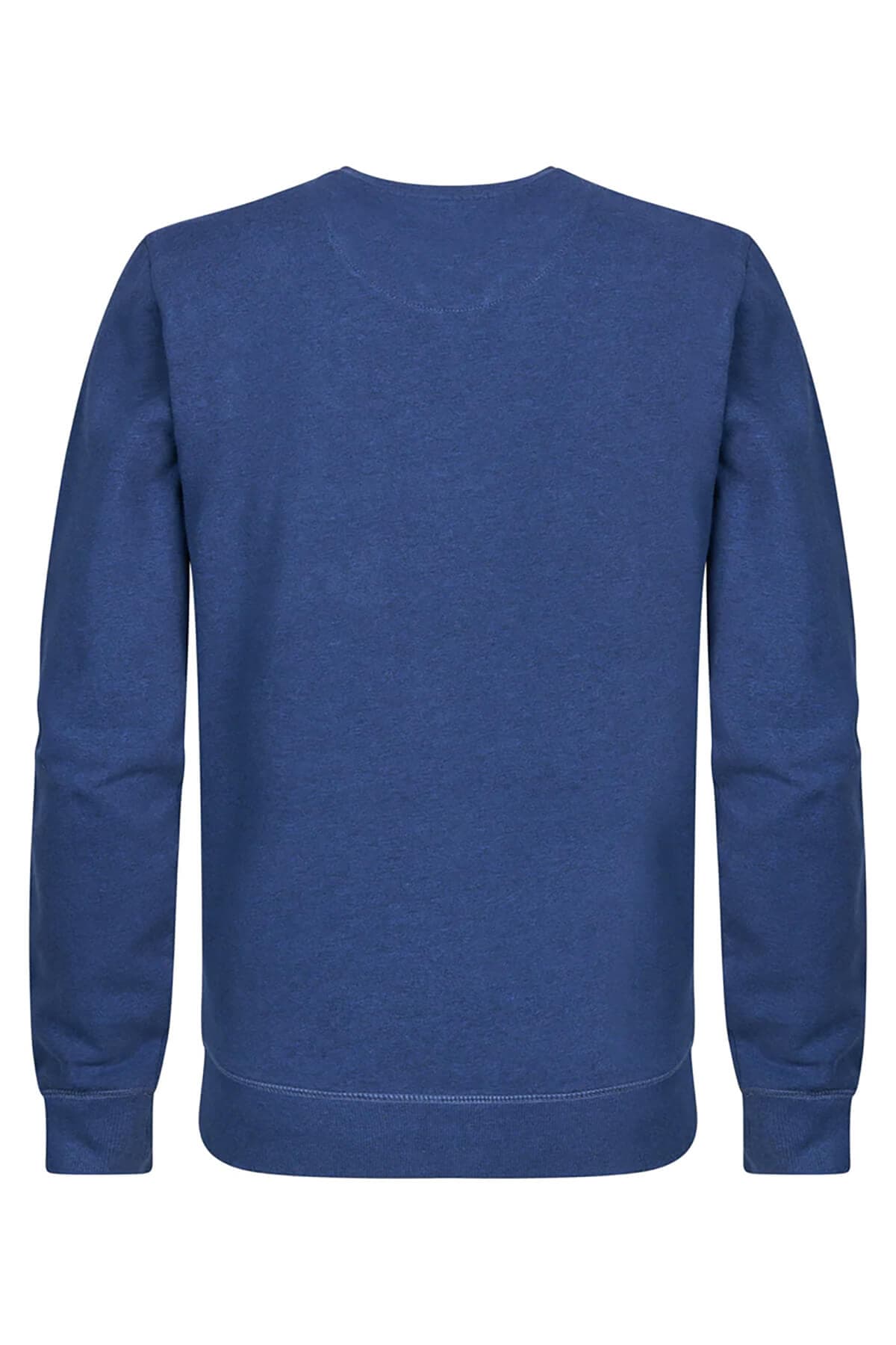 Petrol Industries Φούτερ Με Artwork MedFord