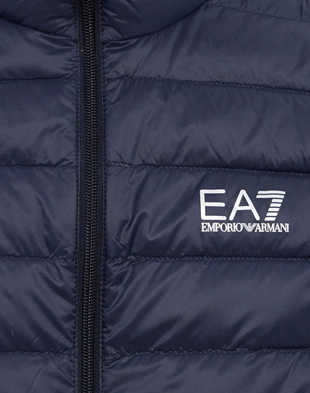 Down Vest Men Ea7 Emporio Armani
