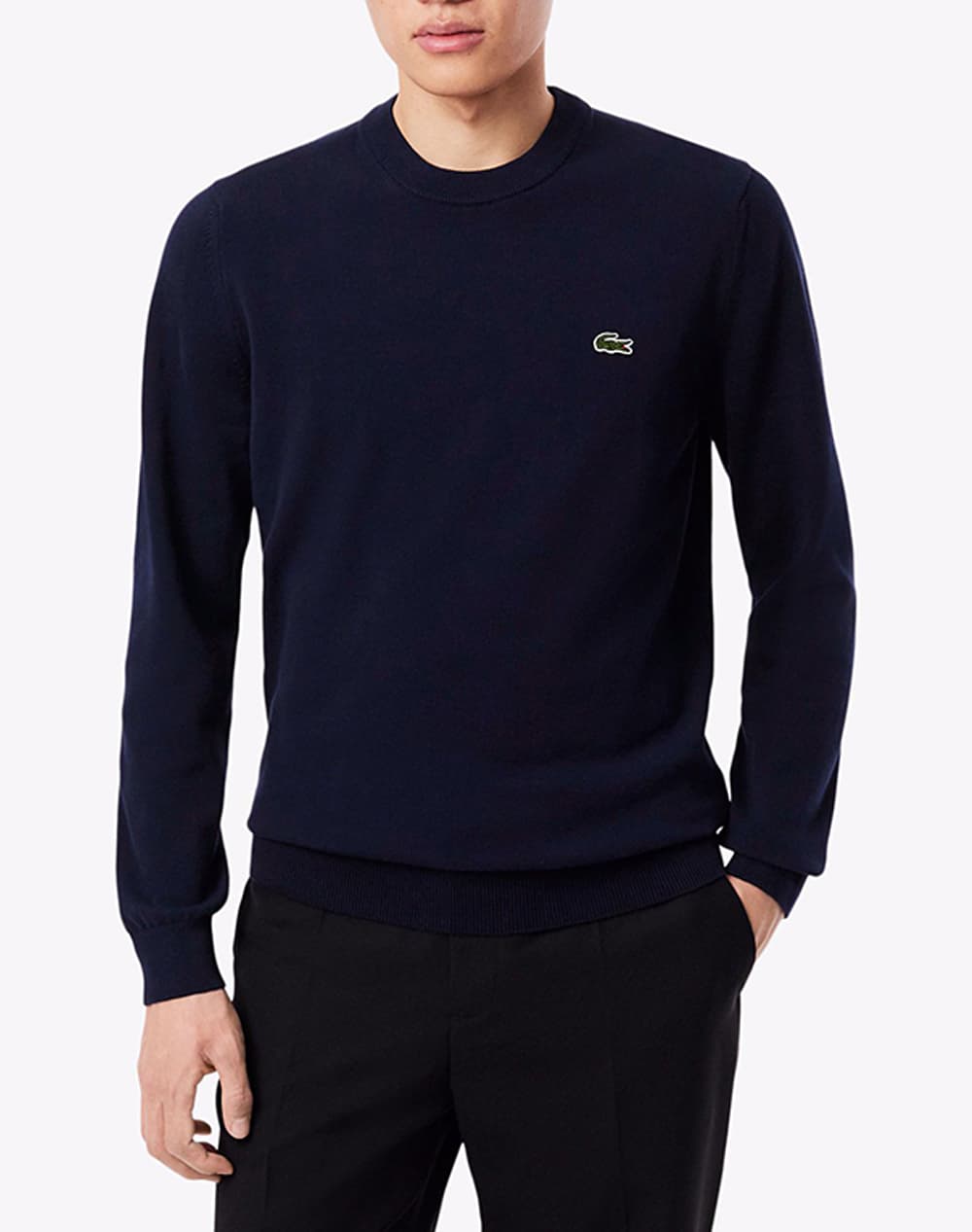Men's Sweaters Lacoste Blue