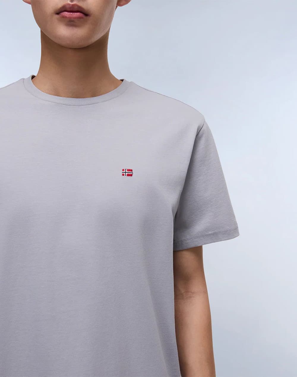 Men's T-Shirts Napapijri Gray