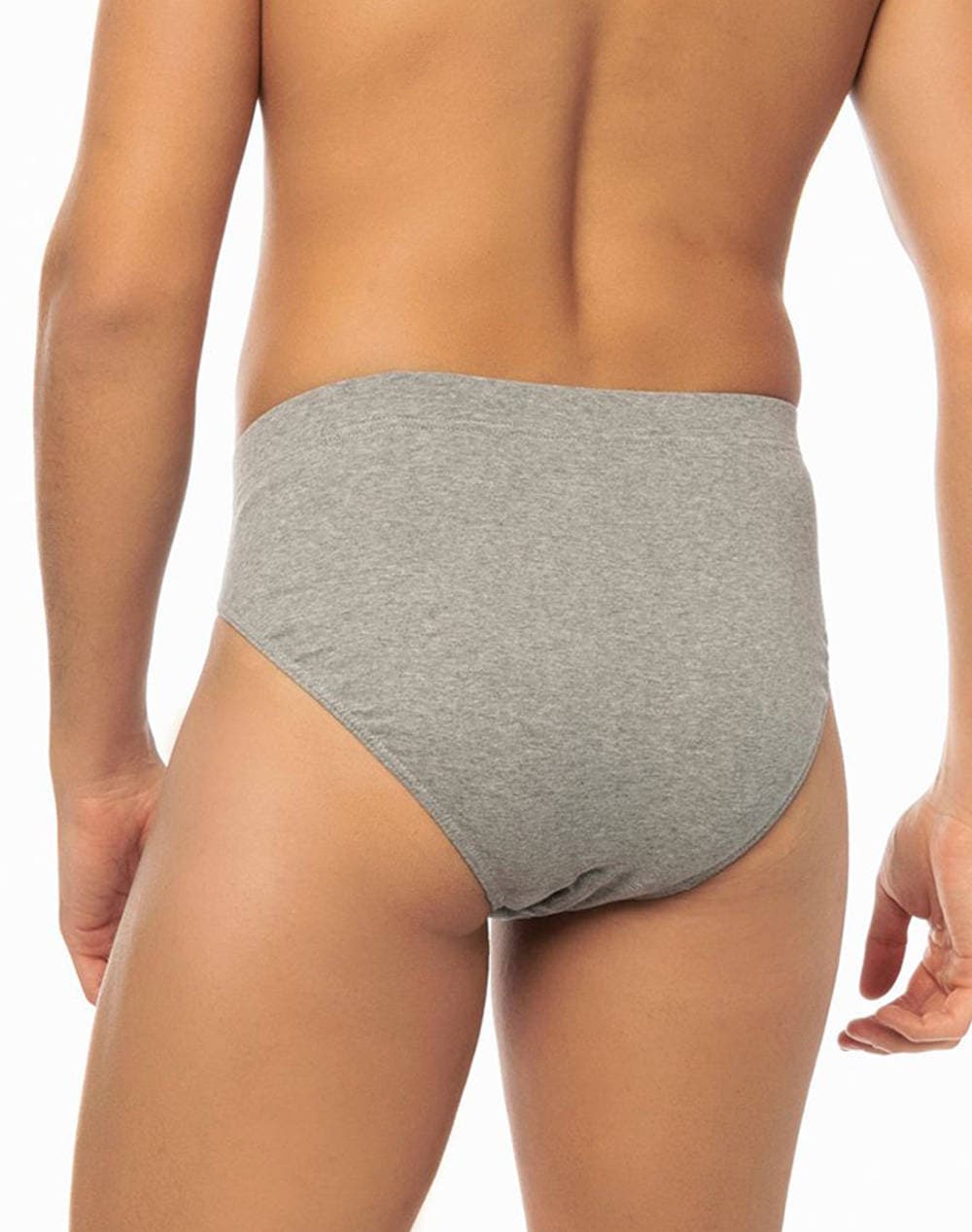 Men's Briefs Minerva Gray