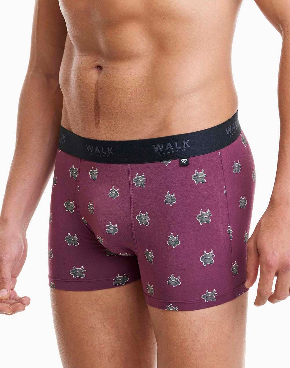 Men's Boxer Briefs Walk Bordeaux
