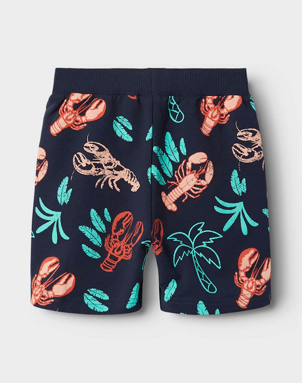 Boys' Shorts Name It Blue