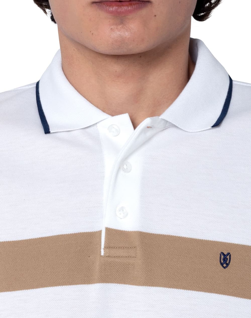 Men's Polo Shirts The Bostonians Multicolor