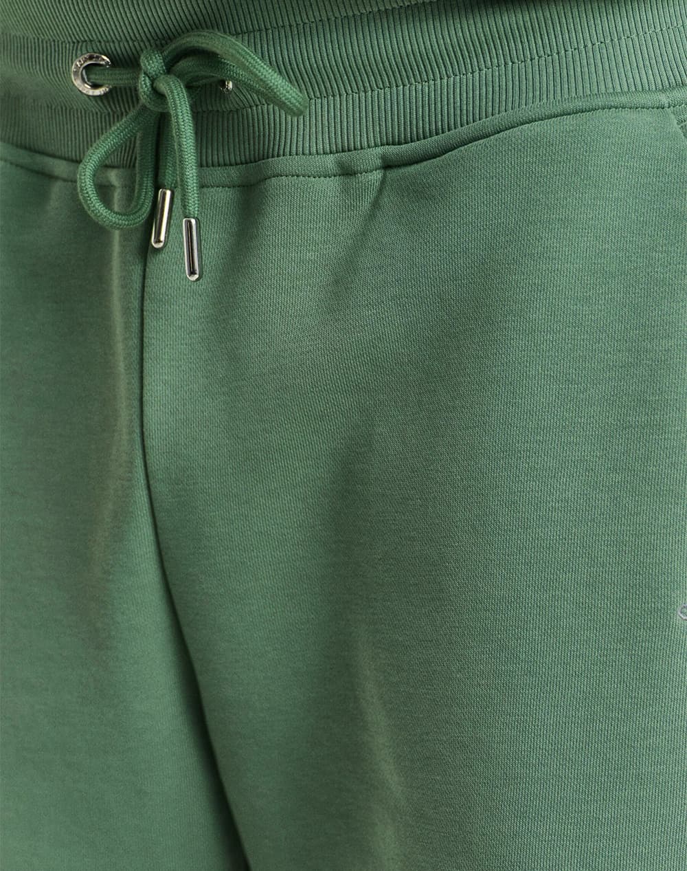Men's Sports Shorts Gant Green