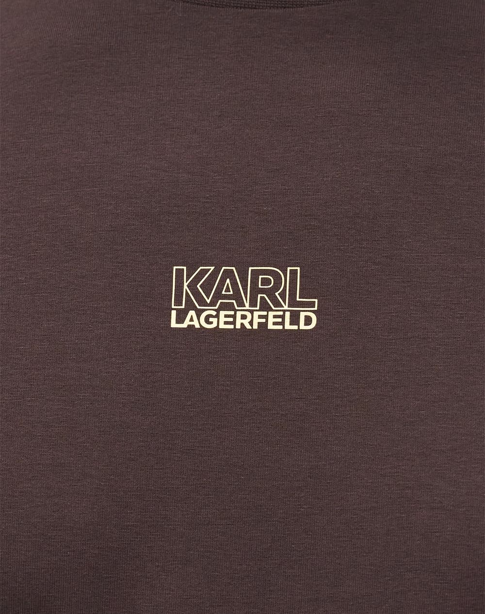Men's T-Shirts Karl Lagerfeld Brown