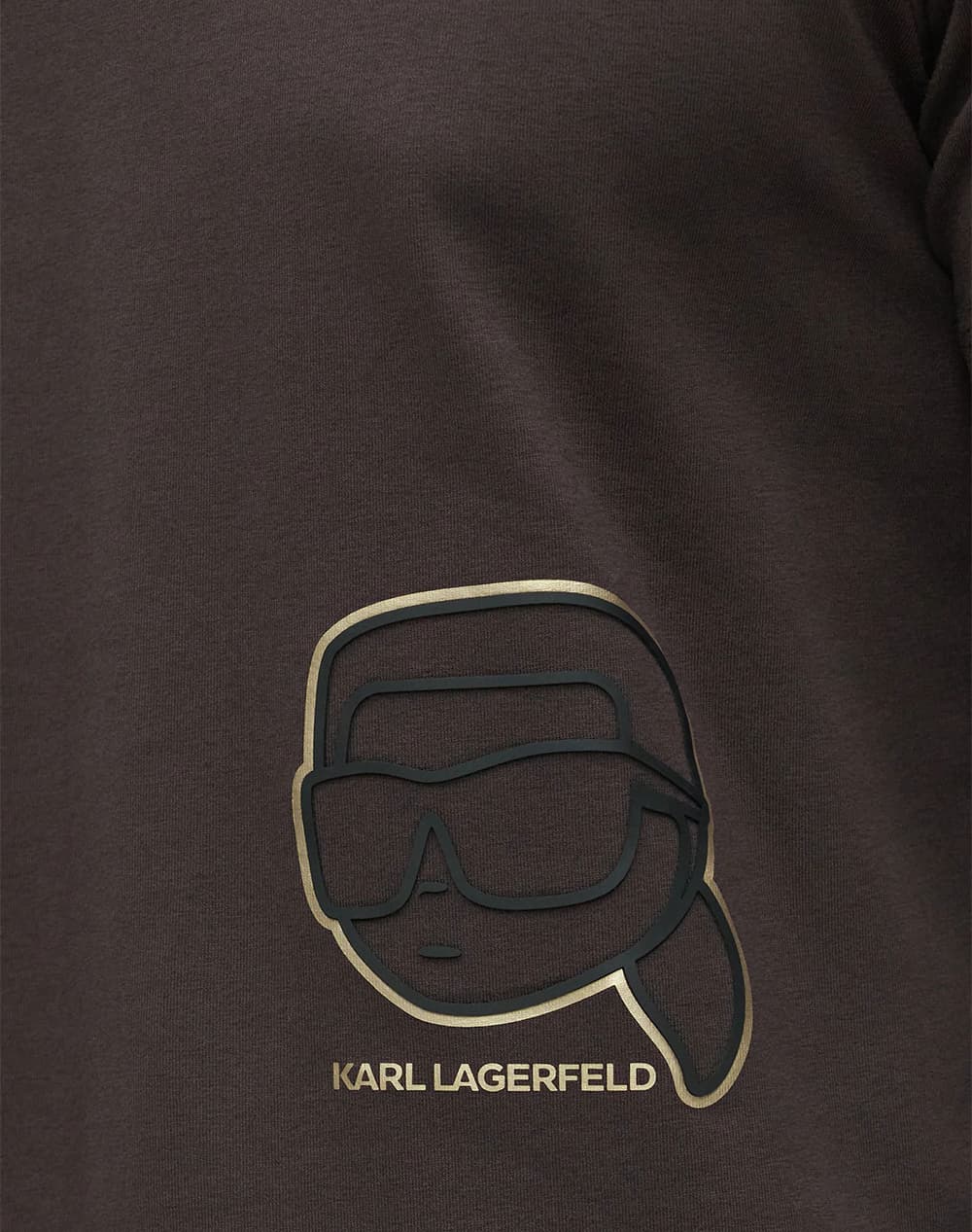 Men's T-Shirts Karl Lagerfeld Brown