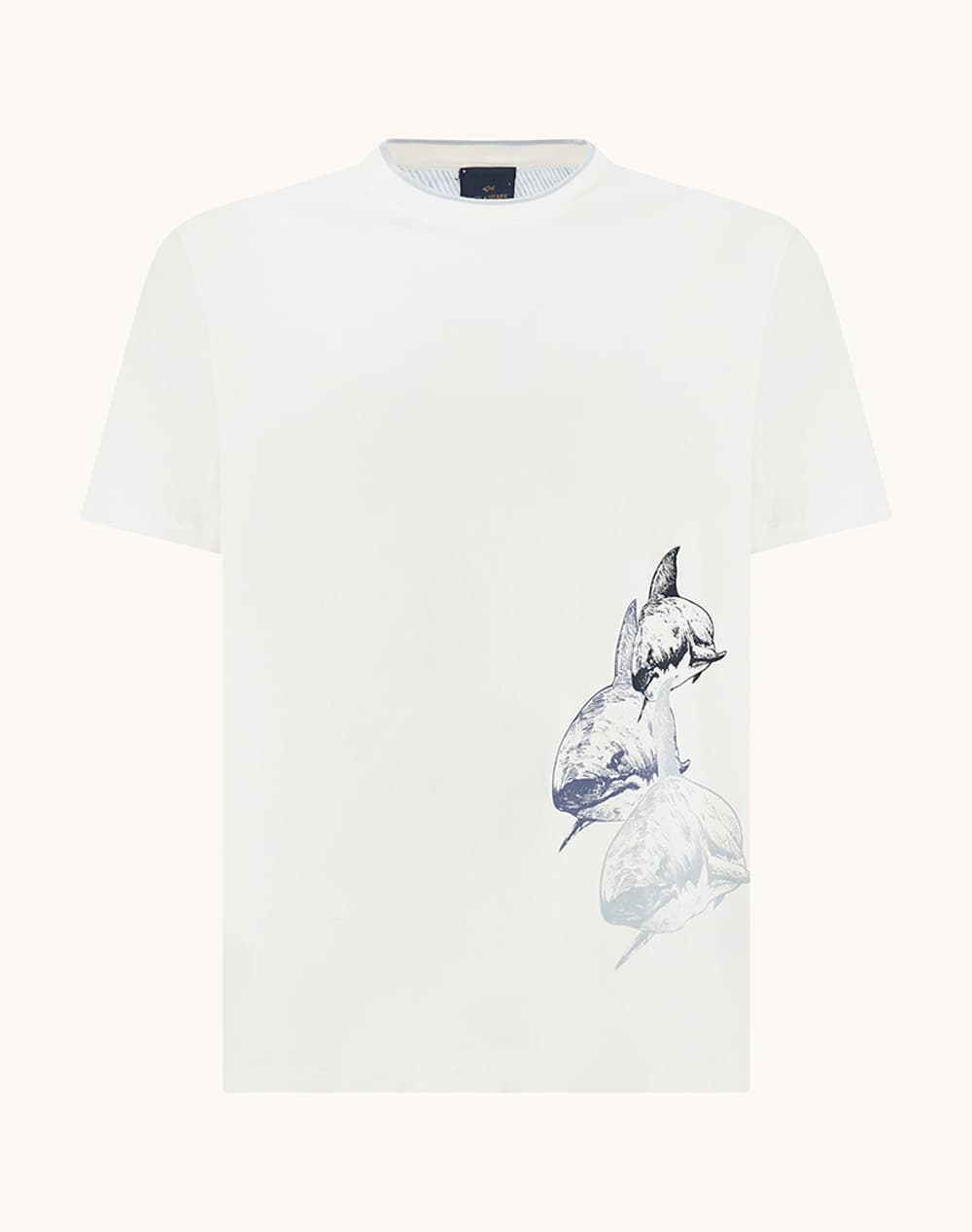 PAUL&SHARK T-Shirt 26411060-3XL-4XL-108 OffWhite