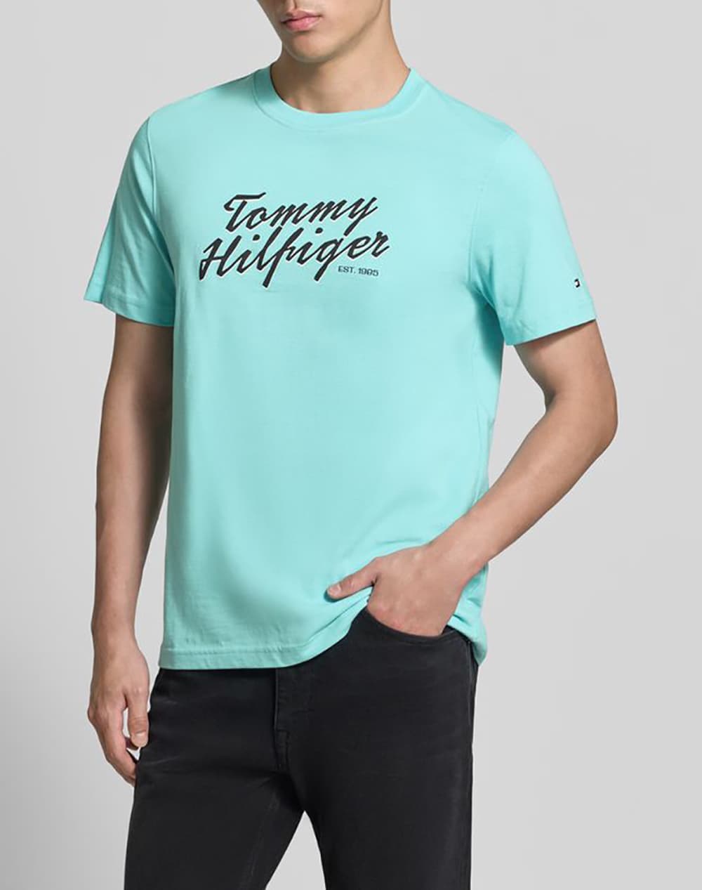 Men's T-Shirts Tommy Hilfiger Blue