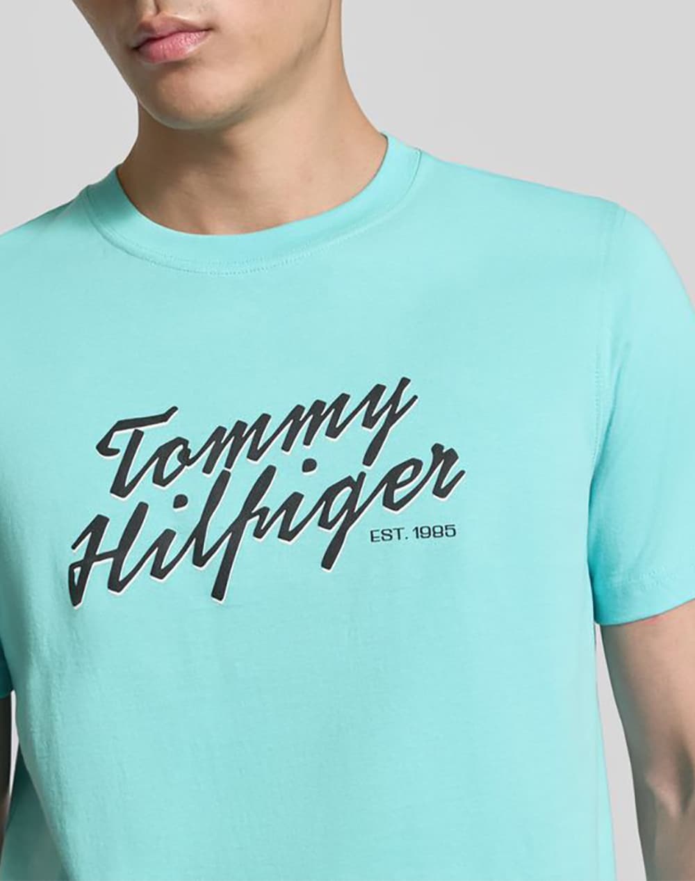 Men's T-Shirts Tommy Hilfiger Blue
