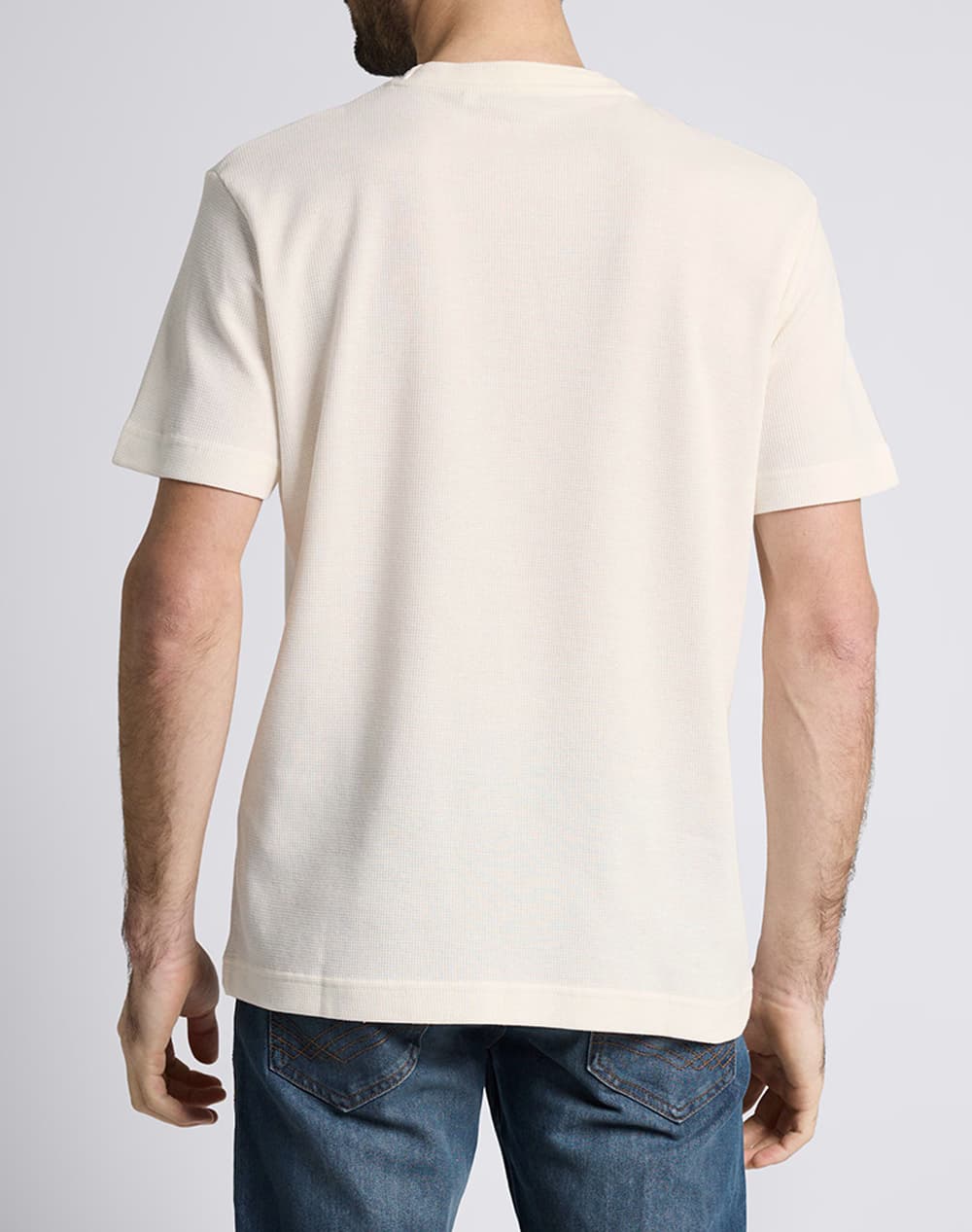 Men's T-Shirts Tom Tailor Ecru