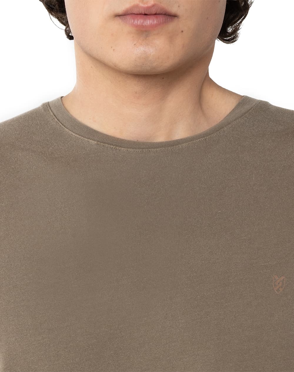 Men's T-Shirts The Bostonians Beige