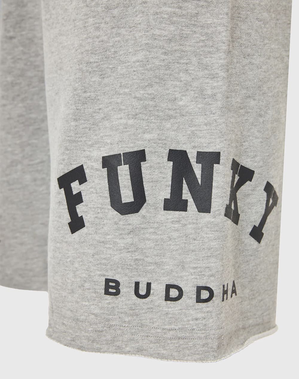 Men's Sports Shorts Funky Buddha Gray