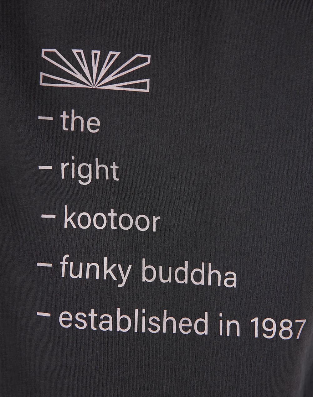 Men's T-Shirts Funky Buddha Gray