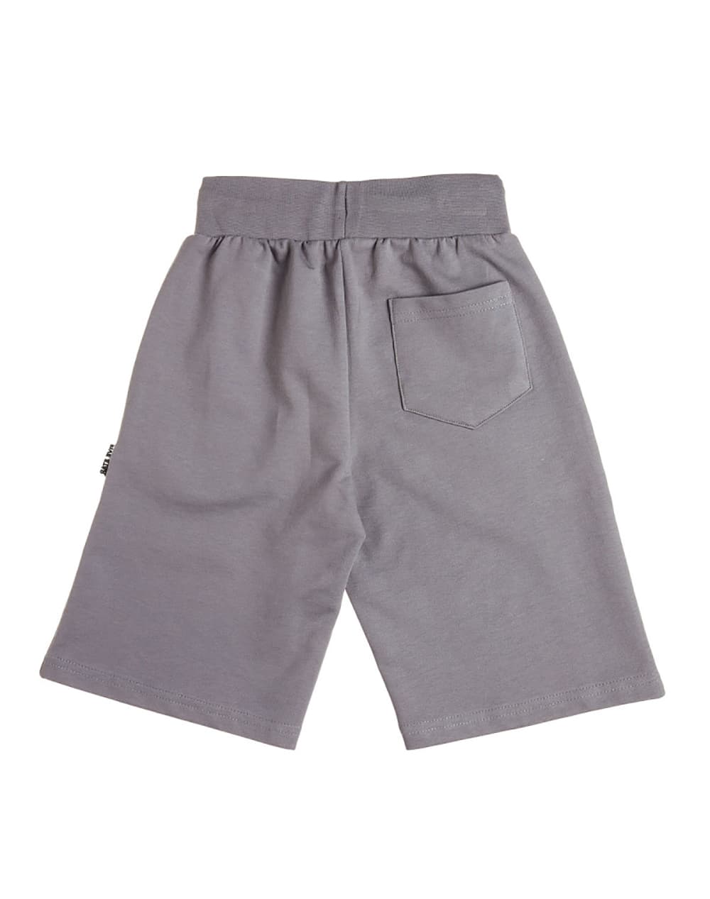 Boys' Shorts Alouette Gray