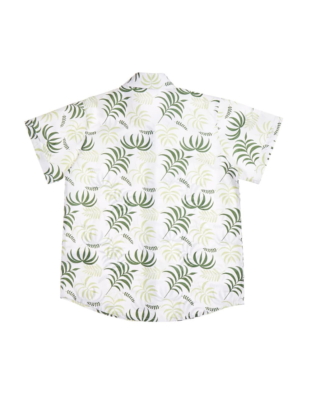 Boys' Shirts Alouette Multicolor