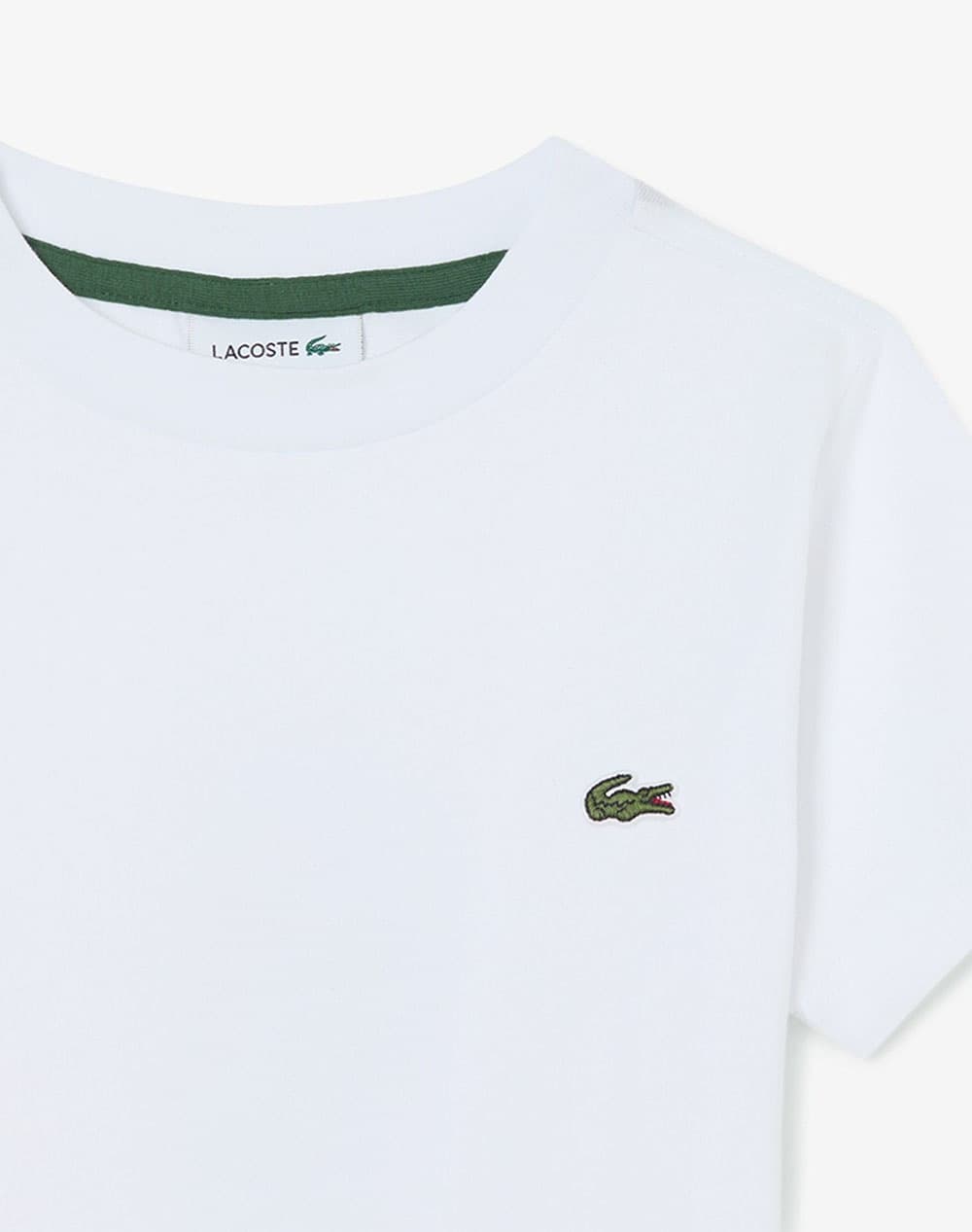 Boys' T-Shirts & Shirts Lacoste White