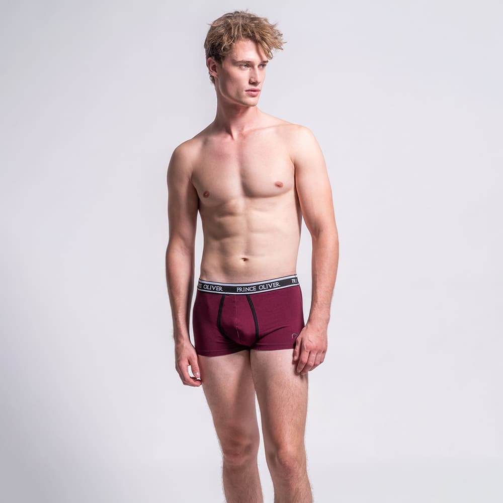 Men's Underwear Prince Oliver Multicolor