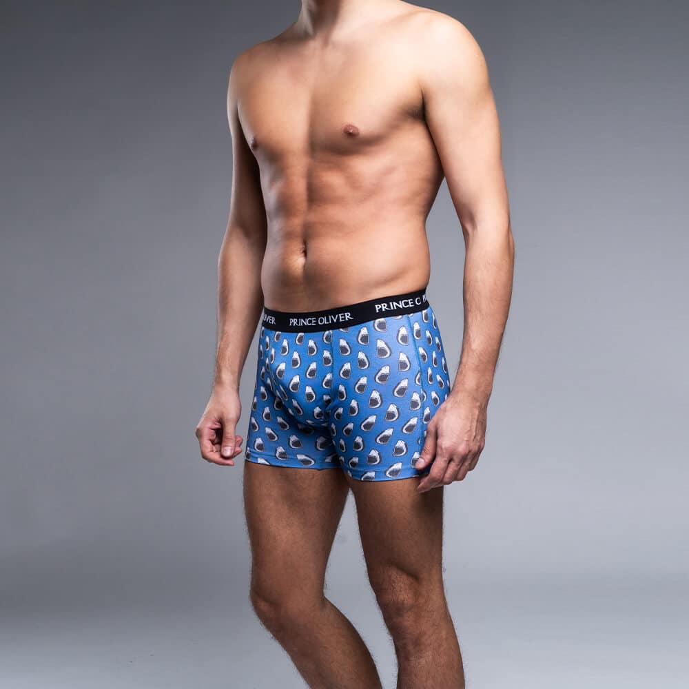 Men's Underwear Prince Oliver Blue