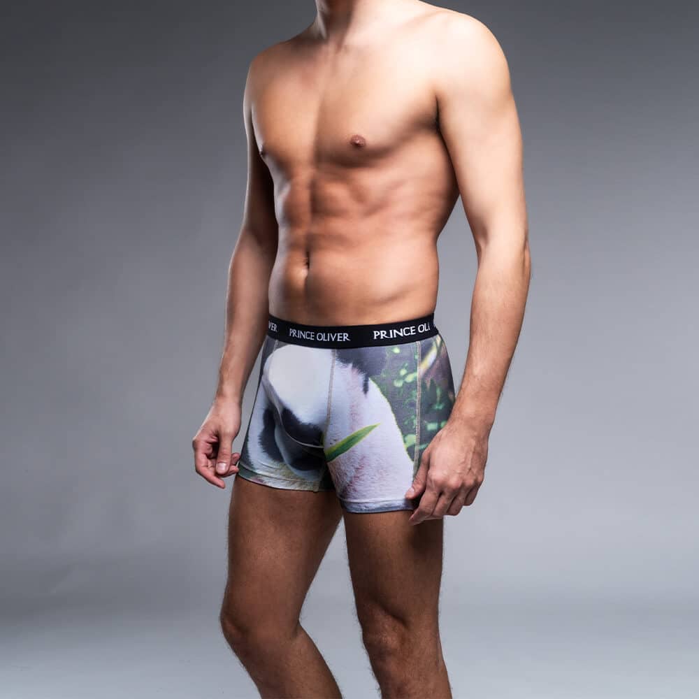 Men's Underwear Prince Oliver Green