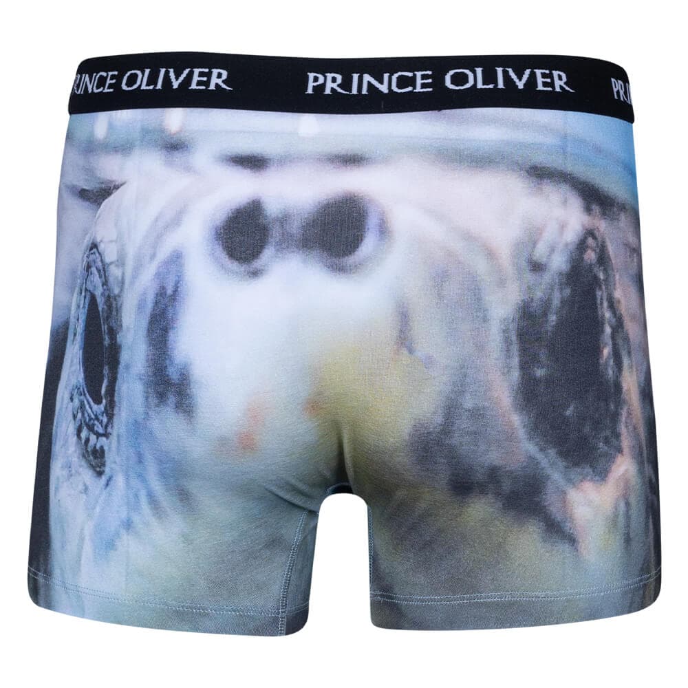 Boxer Λευκό με Χελώνα Cotton Stretch WILD LIFE COLLECTION