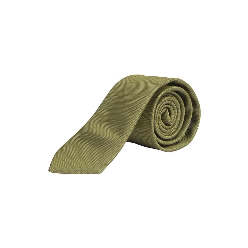 Men's Ties Prince Oliver Green