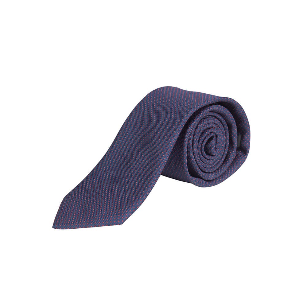Men's Ties Prince Oliver Blue