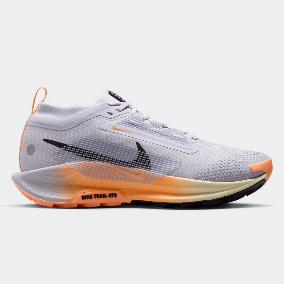 Women's Running Shoes Nike Gray