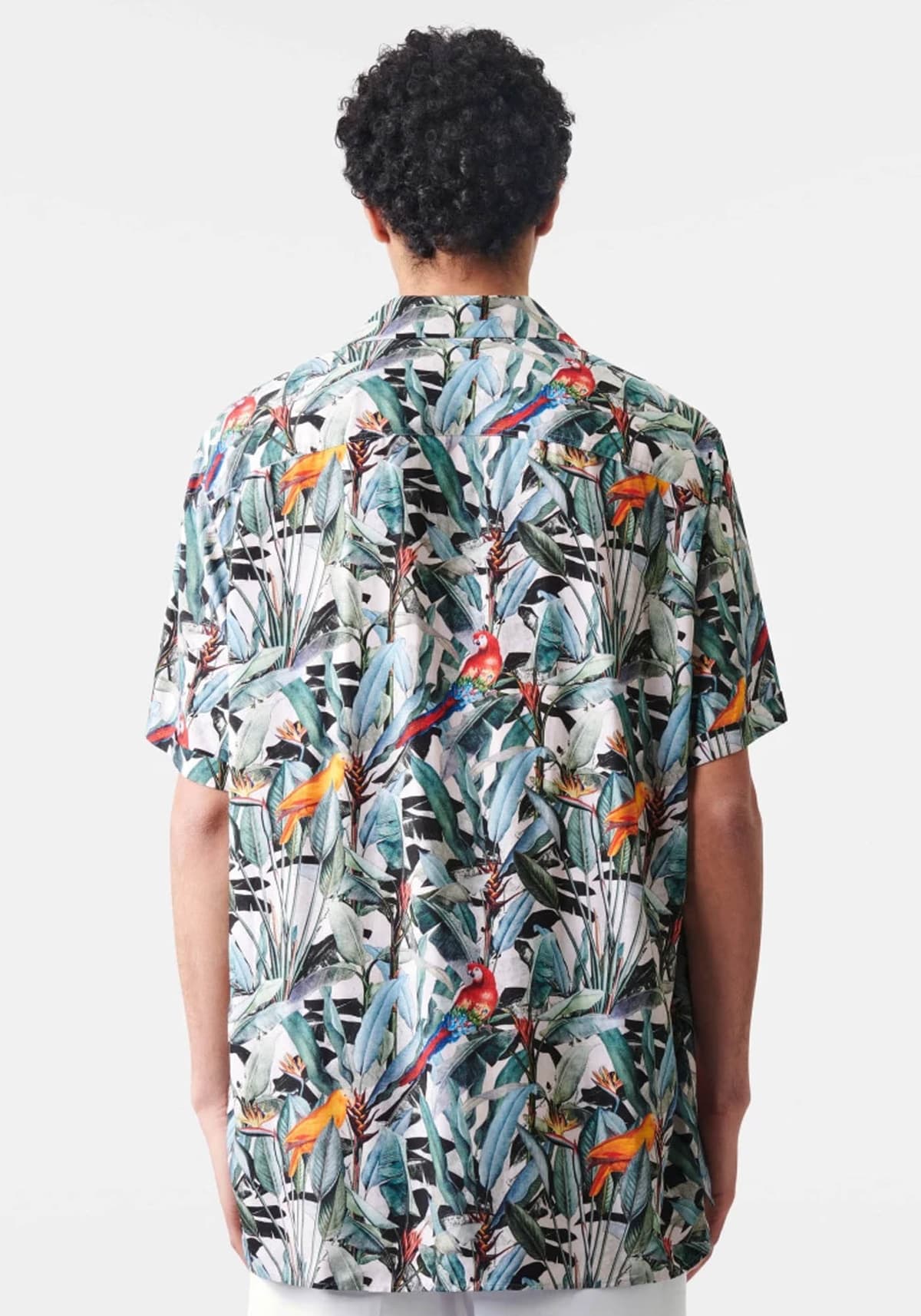 Men's Shirts Drykorn Green