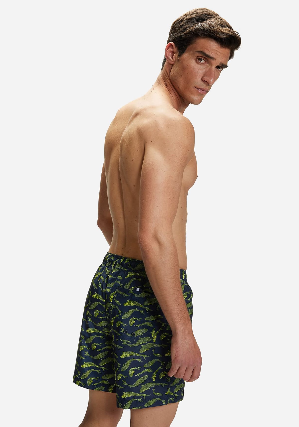 Men's Swimwear North Sails Green
