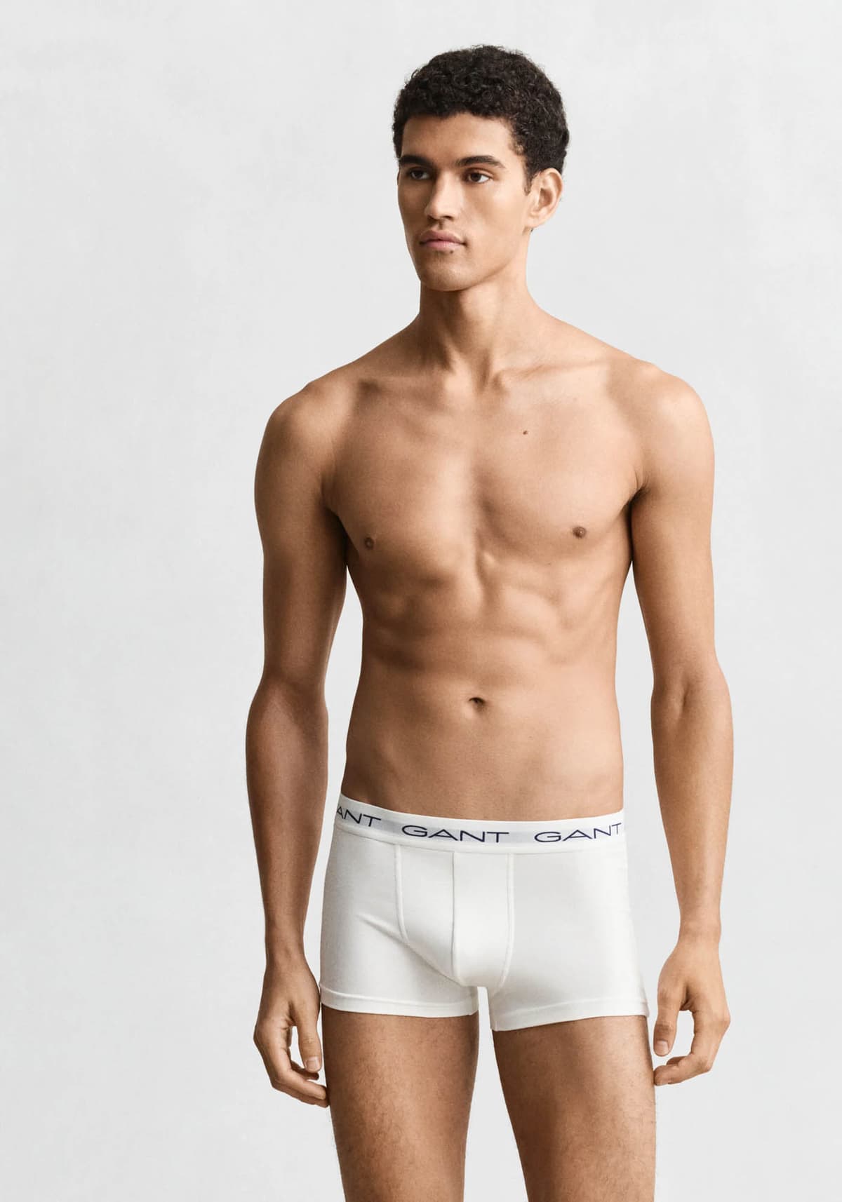 Men's Underwear Gant Gray