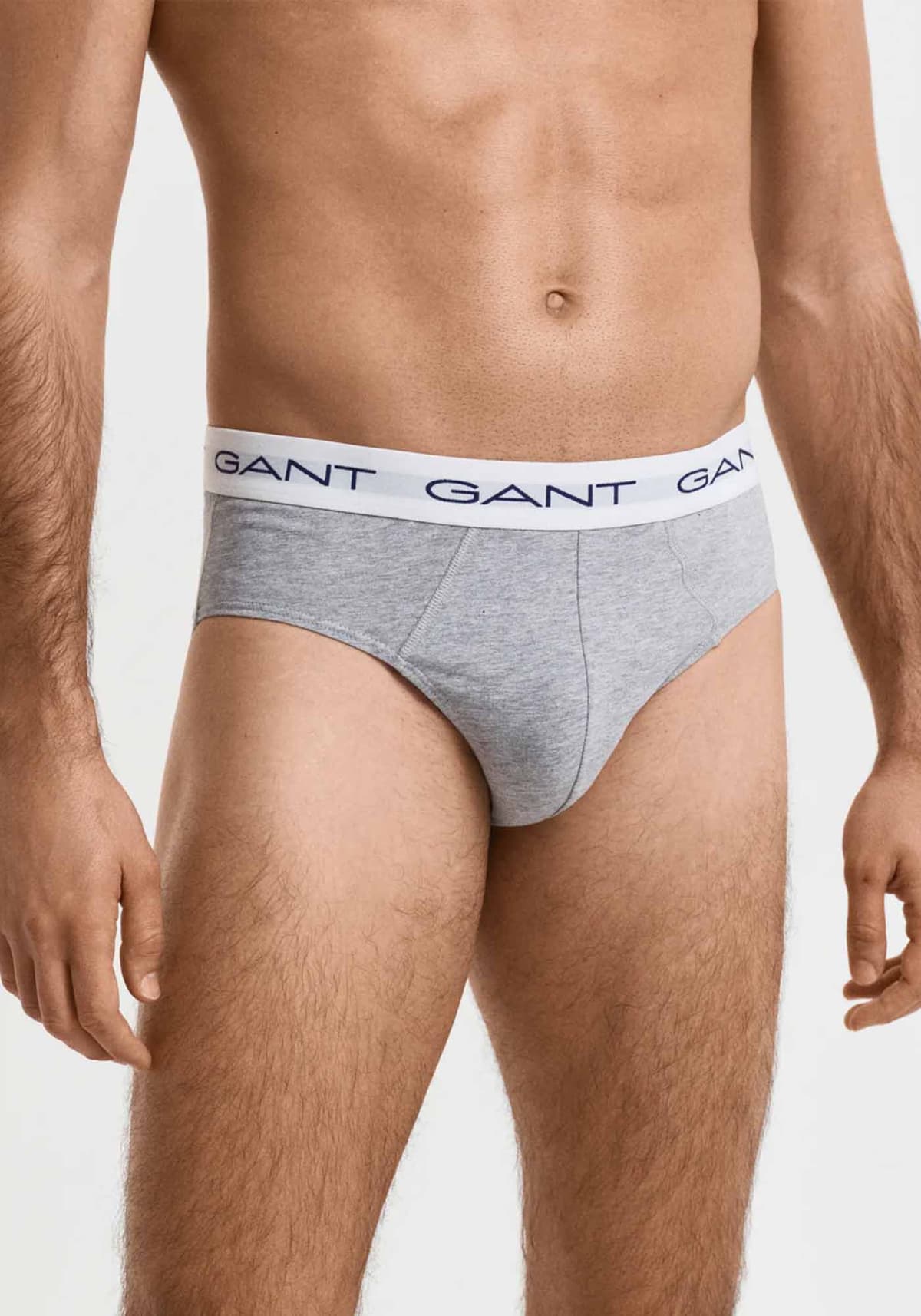 Men's Clothing Gant Gray