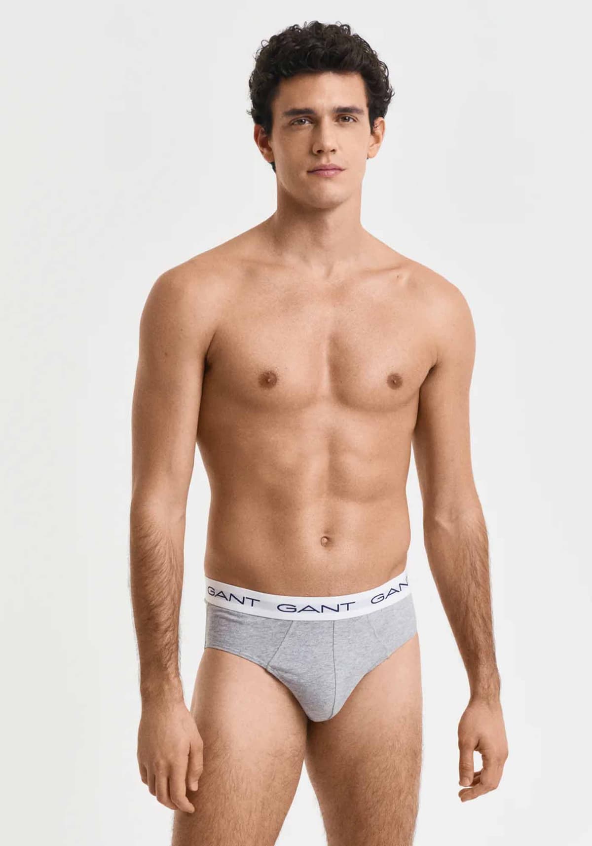 Men's Clothing Gant Gray