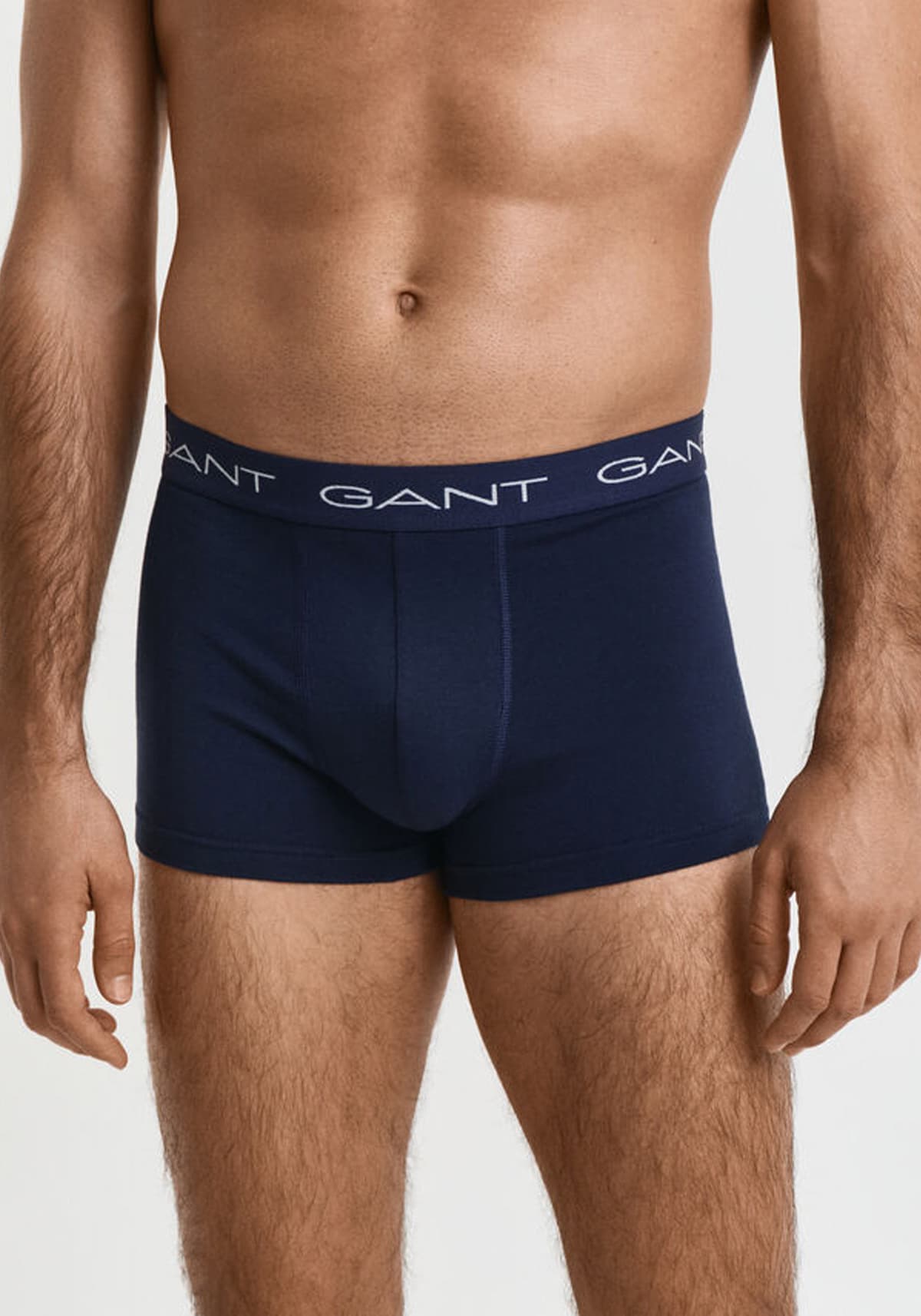 Men's Clothing Gant Blue