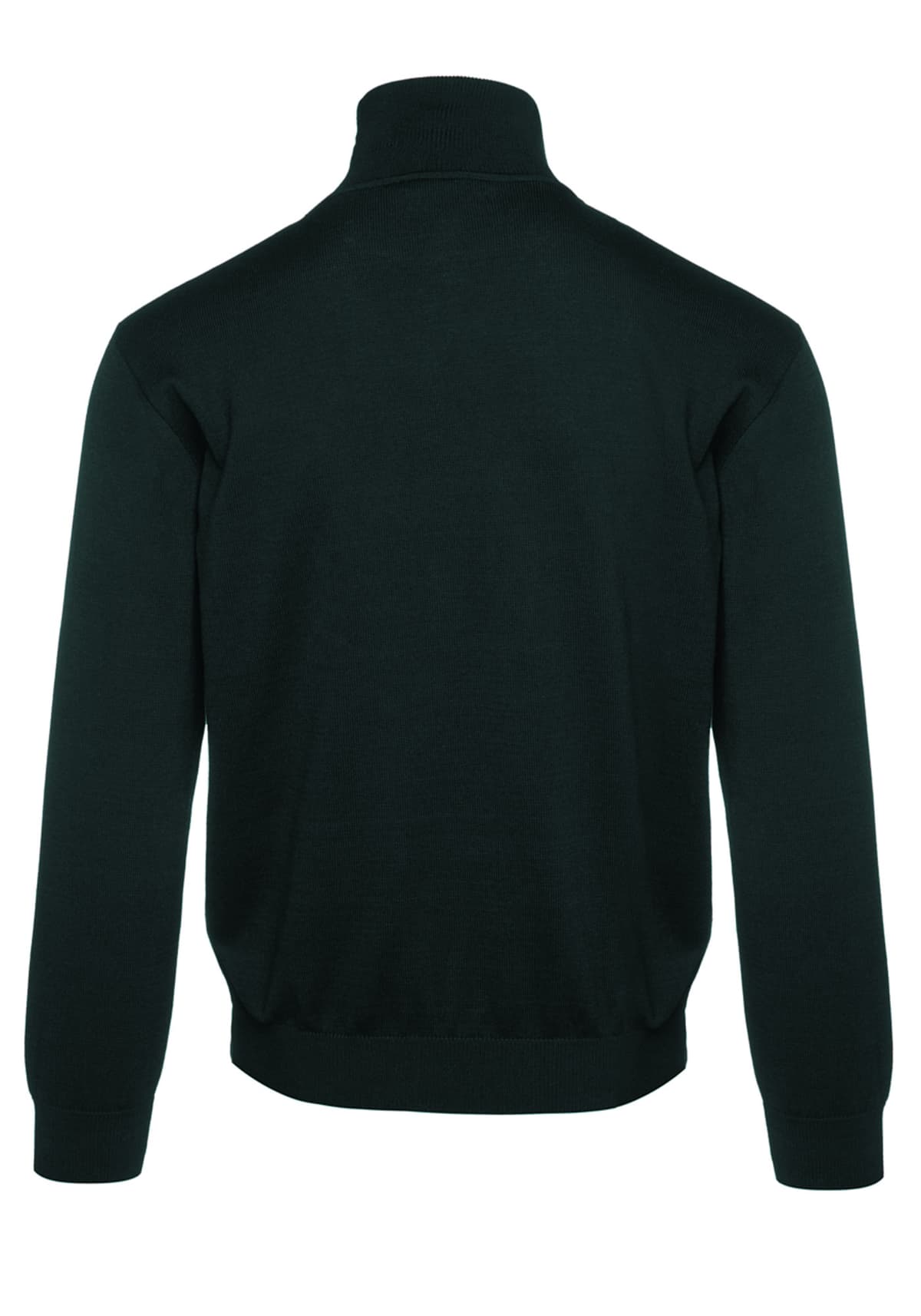 Men's Knitwear Guy Laroche Green