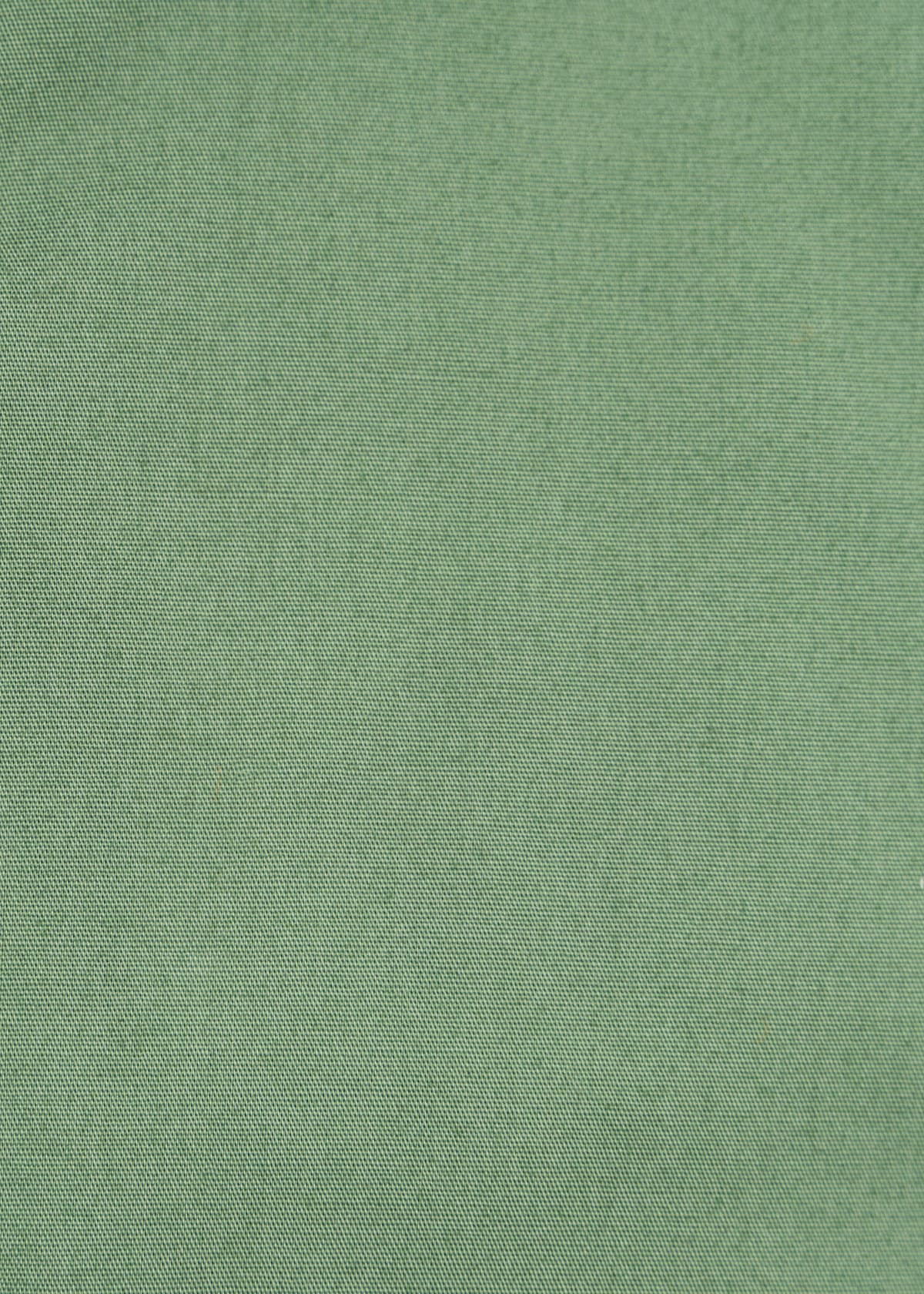 Men's Shirts Boss Green