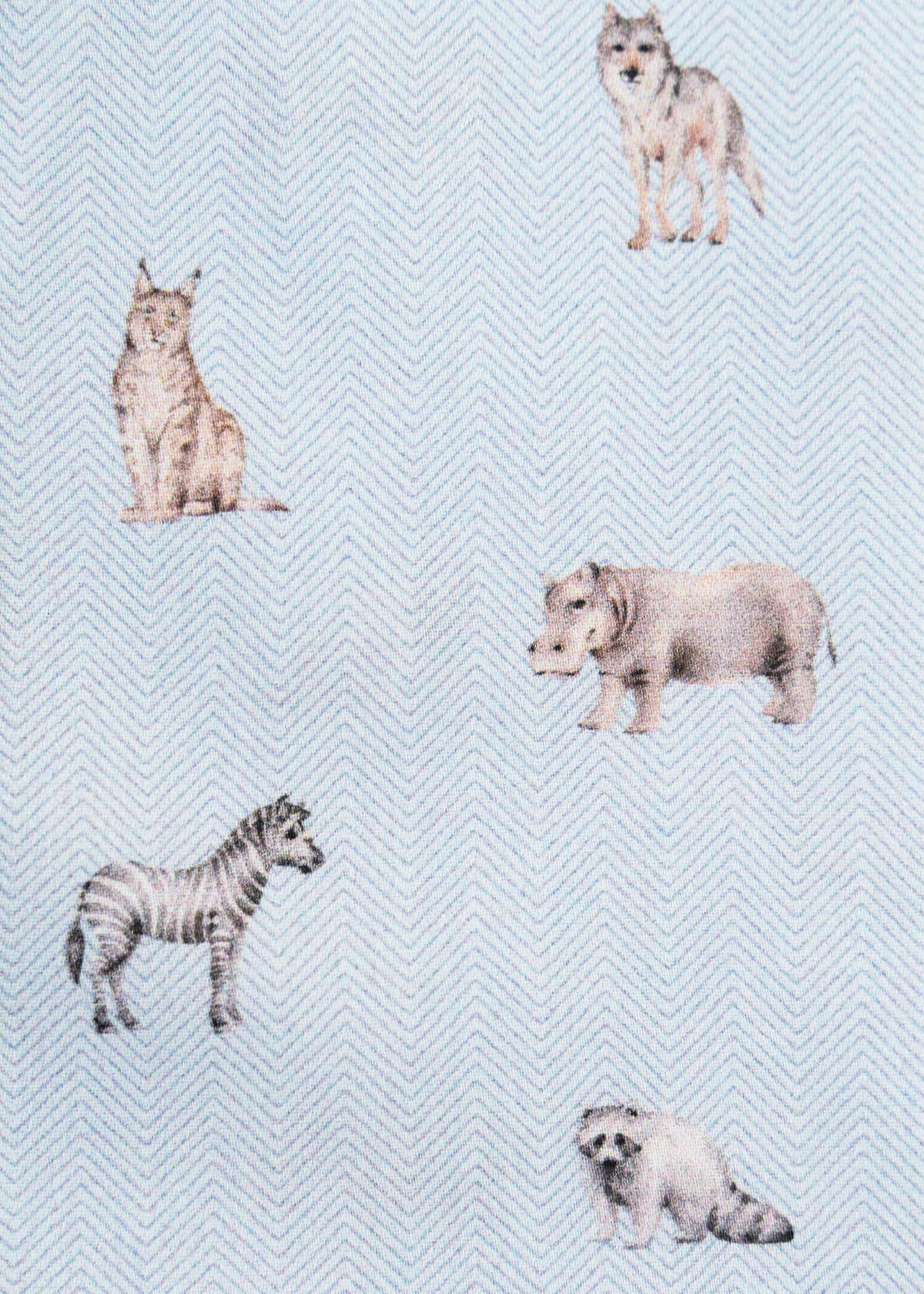 Men's Shirts Begga Blue