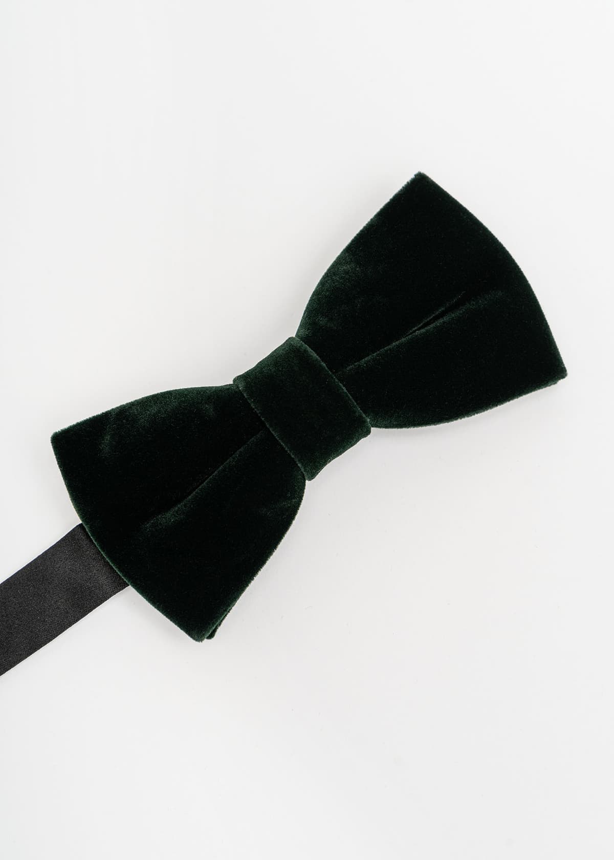 Men's Ties Fragosto Green